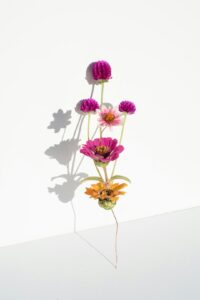 A vibrant bouquet of assorted flowers casts a shadow.
